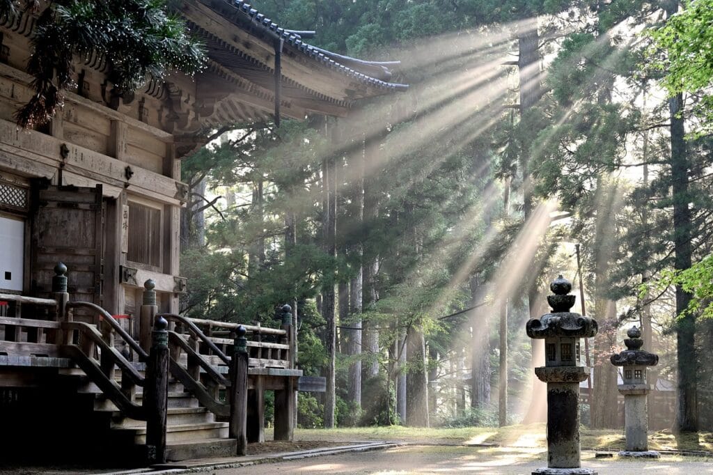 sun rays, nature, forest, koyasan temple, fog, sun beams, trees, japan