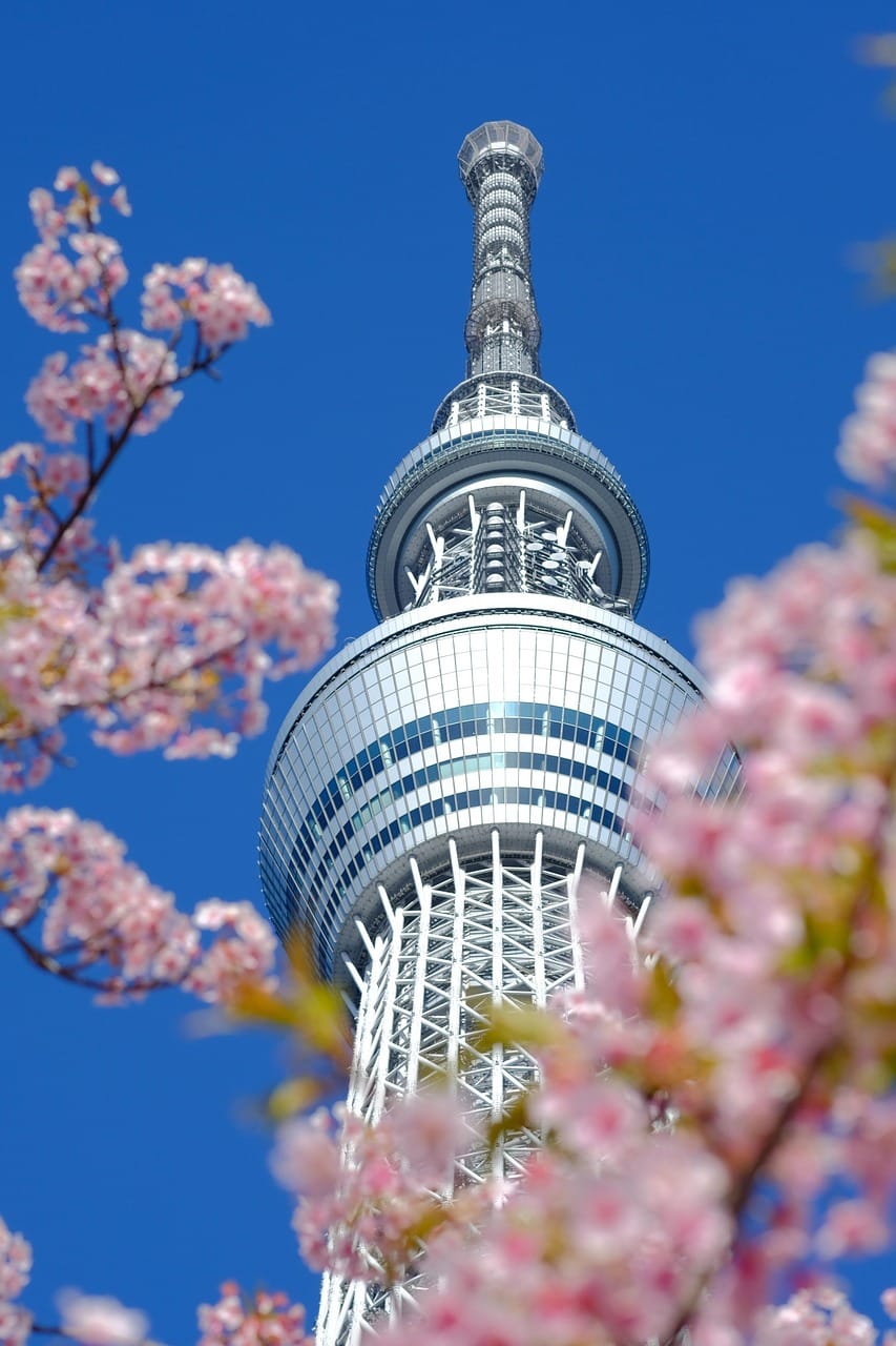 Top 15 Things to Do in Tokyo for First Time Visitors hellojoytravel com Top 15 Things to Do in Tokyo for First Time Visitors hellojoytravel com