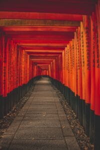 fushimi inari taisha, torri, shrine, temple, sanctuary, gate, kyoto, japan, kyoto, kyoto, kyoto, kyoto, kyoto, japan, japan
