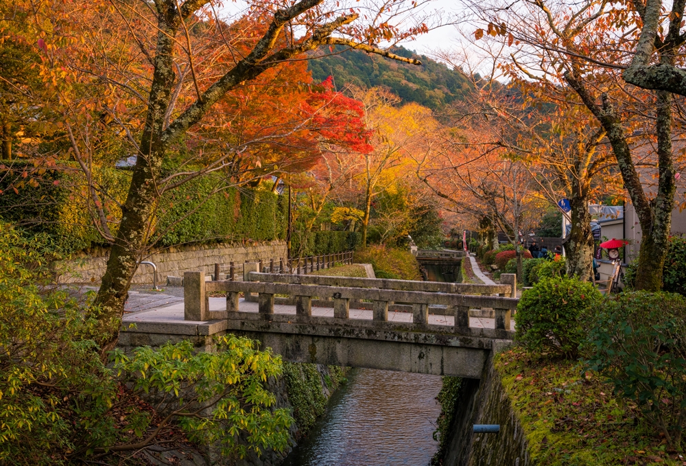 philosopher’s path in autumn