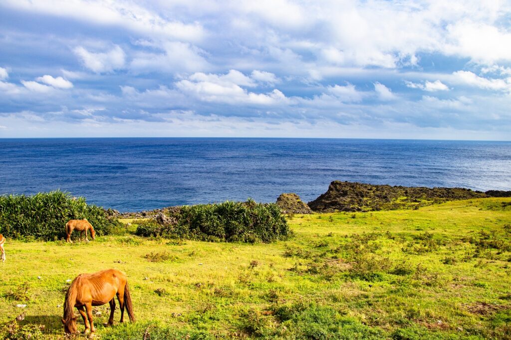 Okinawa’s Most Beautiful Islands: Miyako, Ishigaki & Kerama Guide sea, horse, meadow, sky, japan, natural, okinawa, ishigaki island, green, plant, japanese landscape, blue sky, nature, blue, water, landscape